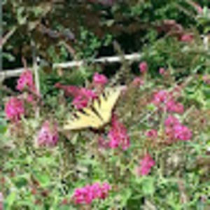 Meet your Posher, Marta